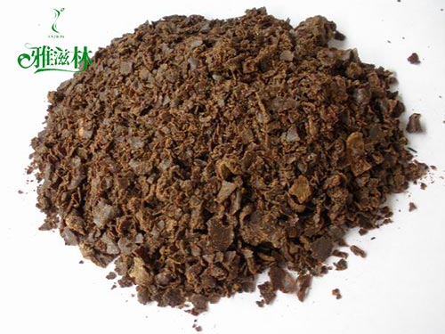 茶麸 茶麸